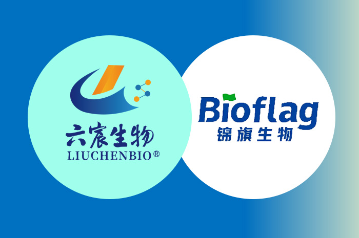 卓越團隊，權(quán)威背書