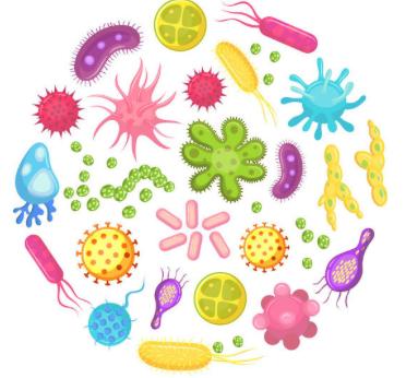 警惕!益生菌減少,或成疾病入侵的隱形門戶!